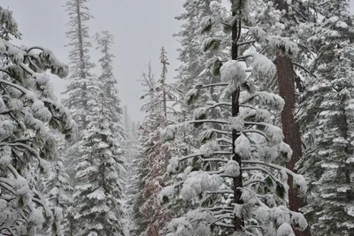 DSC_6655 (Large).JPG